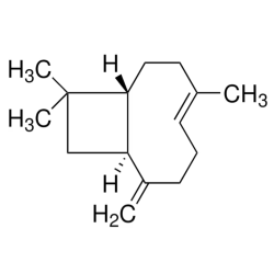 β-Caryophyllene