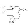 β-Caryophyllene