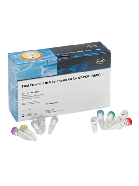Kit de síntesis de la cadena primaria del ADNc para RT-PCR (AMV)
