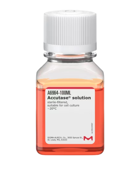 Accutase® solution